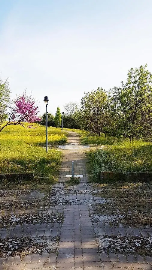 Appartamento CasaRava Sul Parco Riccione 0*,